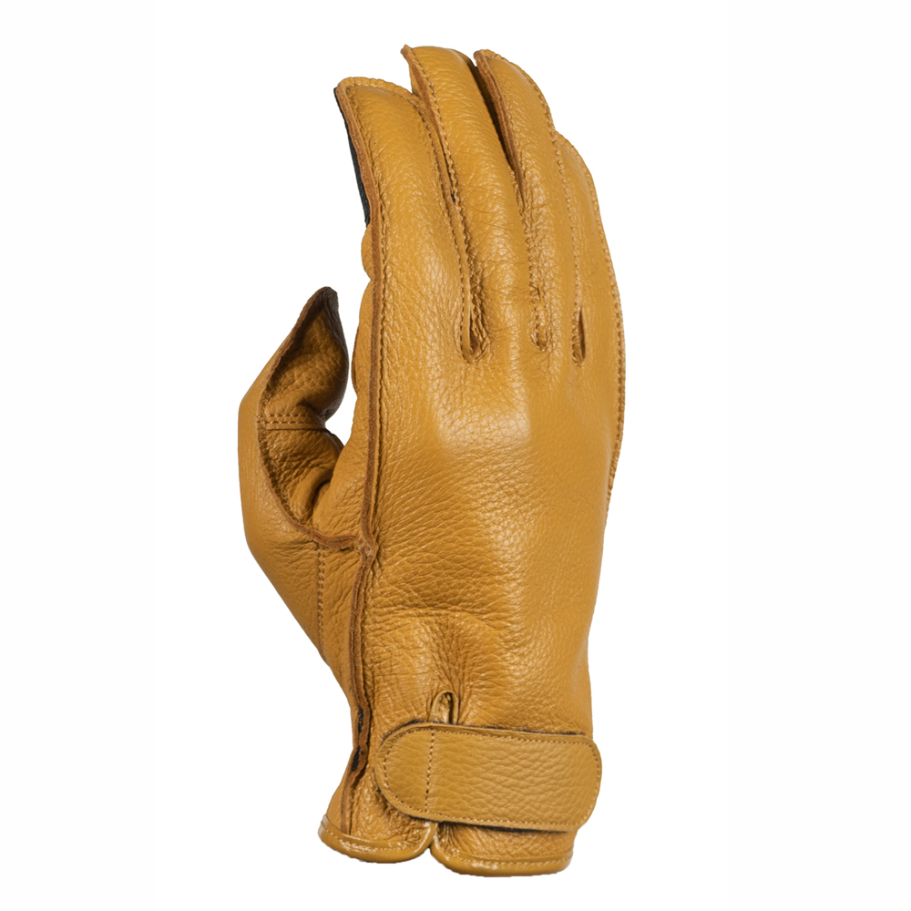 Daisy on the Ohoopee